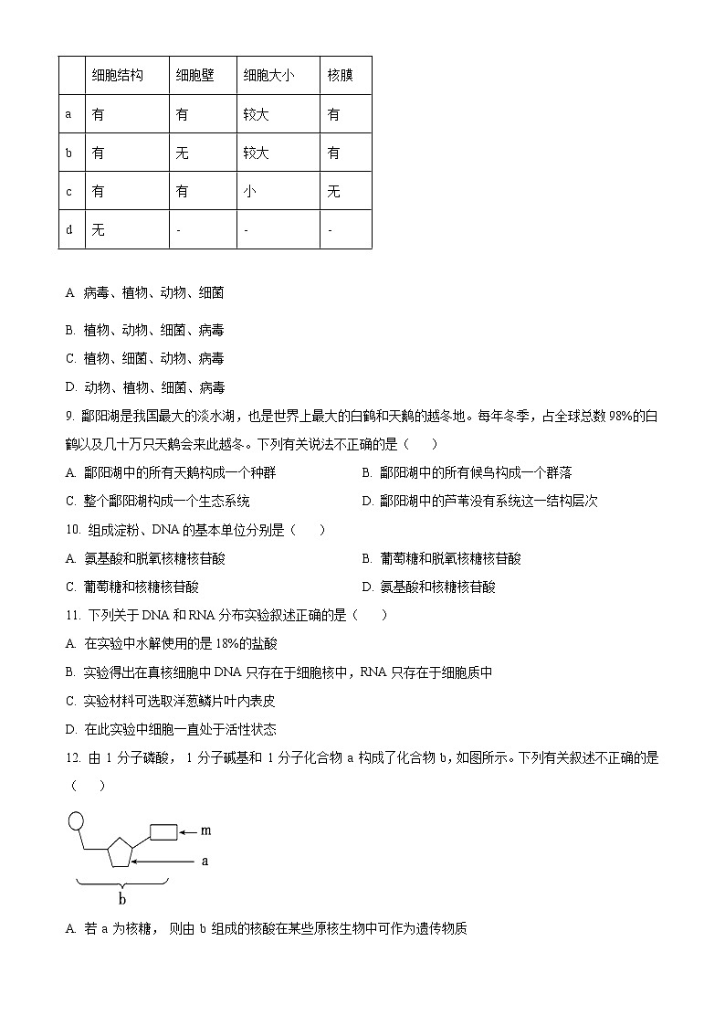 2022自治区阿拉善盟阿拉善盟一中高一上学期期中考试生物试题含答案02