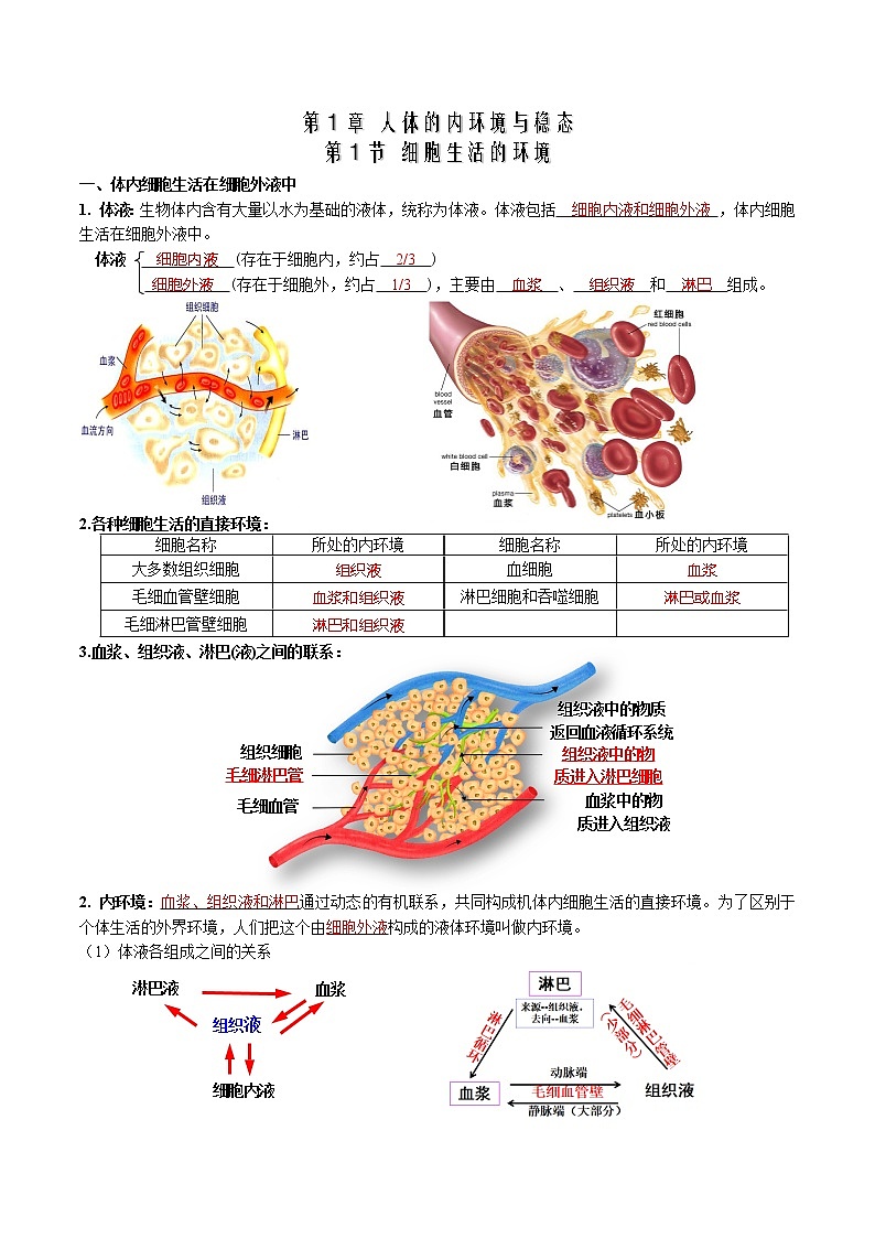 第1章 人体的内环境与稳态-【学霸养成】2022-2023学年高二上学期生物必背知识清单（人教版2019选择性必修1）（教师版）第1页