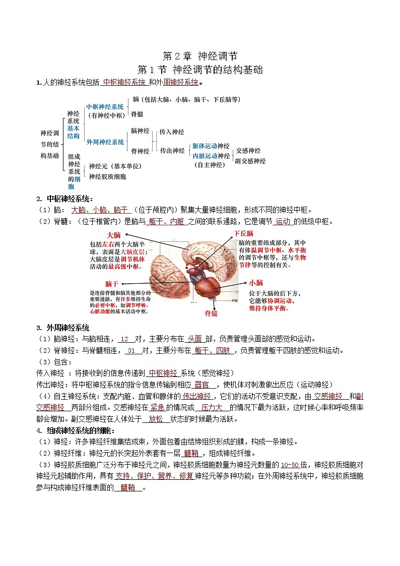 第2章 神经调节-【学霸养成】2022-2023学年高二上学期生物必背知识清单（人教版2019选择性必修1）（教师版）第1页