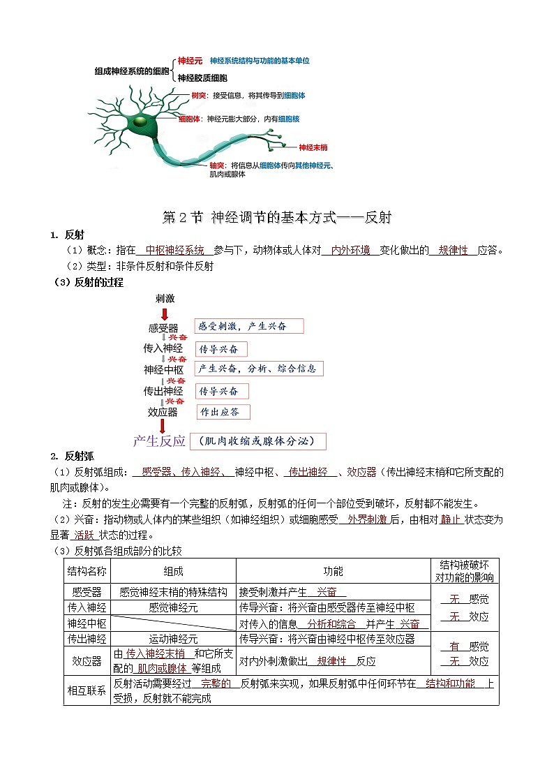 第2章 神经调节-【学霸养成】2022-2023学年高二上学期生物必背知识清单（人教版2019选择性必修1）（教师版）第2页
