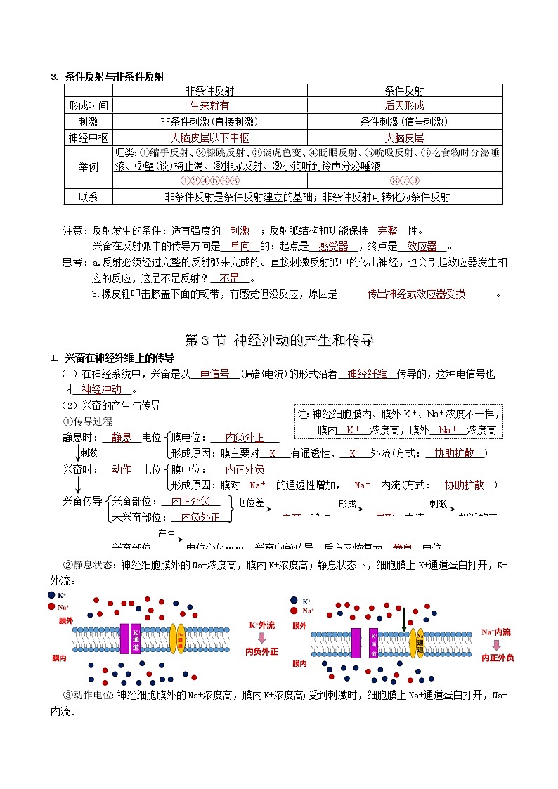 第2章 神经调节-【学霸养成】2022-2023学年高二上学期生物必背知识清单（人教版2019选择性必修1）（教师版）第3页