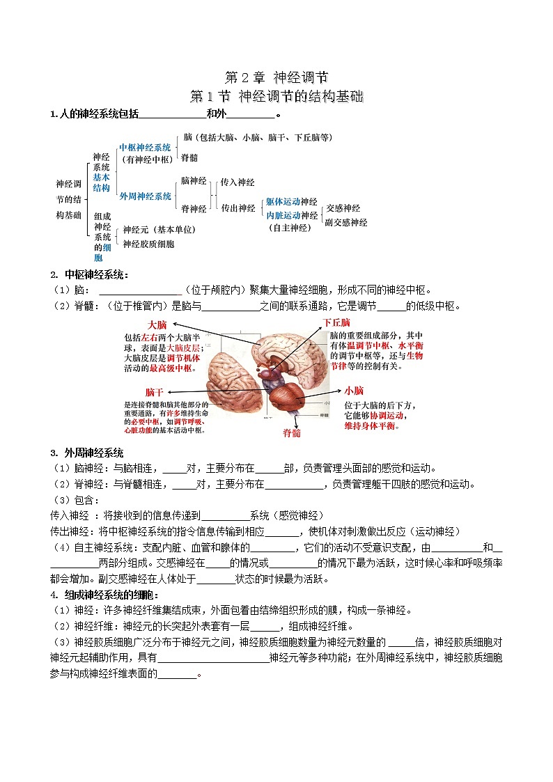 第2章 神经调节-【学霸养成】2022-2023学年高二上学期生物必背知识清单（人教版2019选择性必修1）（学生版）第1页
