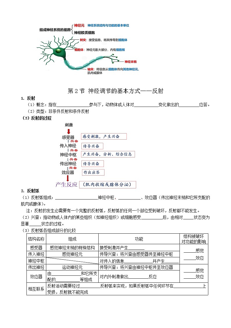 第2章 神经调节-【学霸养成】2022-2023学年高二上学期生物必背知识清单（人教版2019选择性必修1）（学生版）第2页