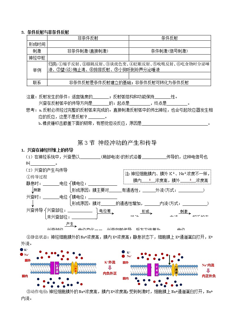 第2章 神经调节-【学霸养成】2022-2023学年高二上学期生物必背知识清单（人教版2019选择性必修1）（学生版）第3页