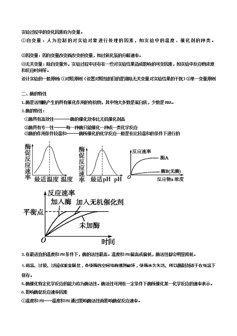 【课堂笔记】高中生物(人教版2019)必修第一册 第5章 细胞的能量供应和利用 - 同步知识点汇总.第2页