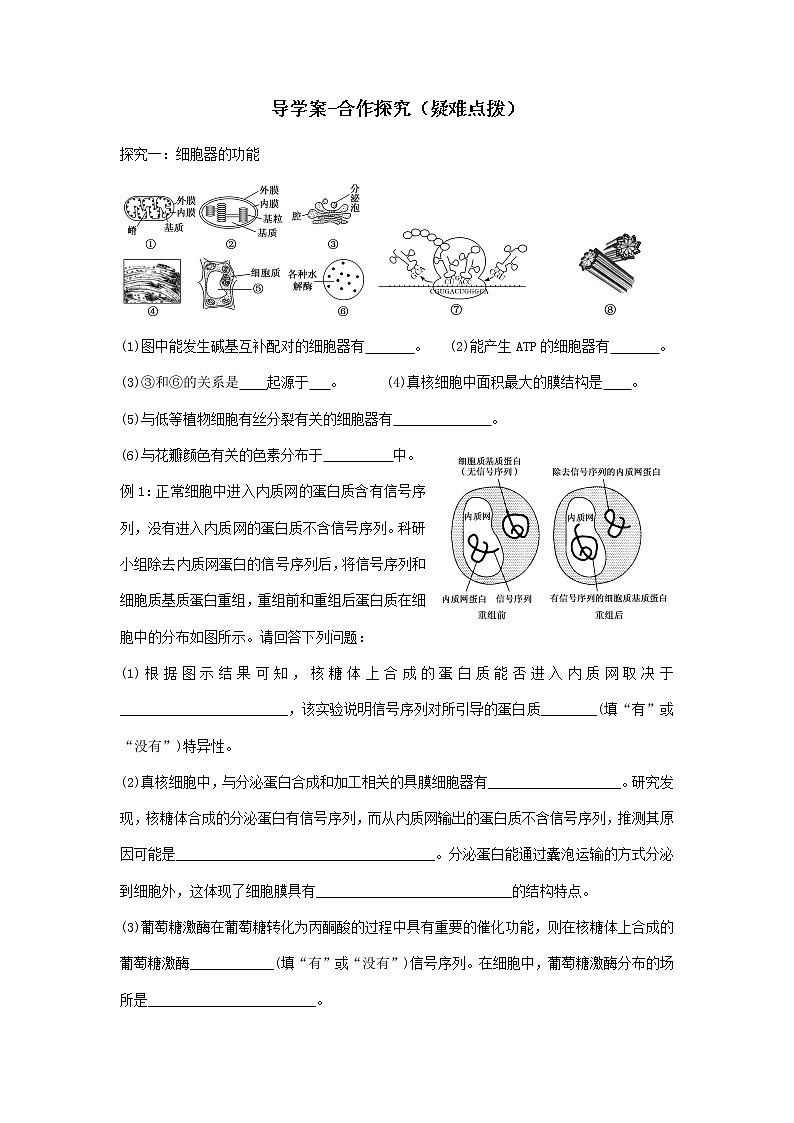 高三一轮复习生物  细胞器的分工合作 预学案第2页