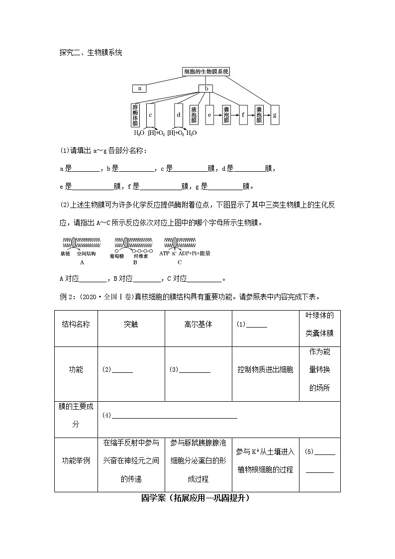 高三一轮复习生物  细胞器的分工合作 预学案第3页