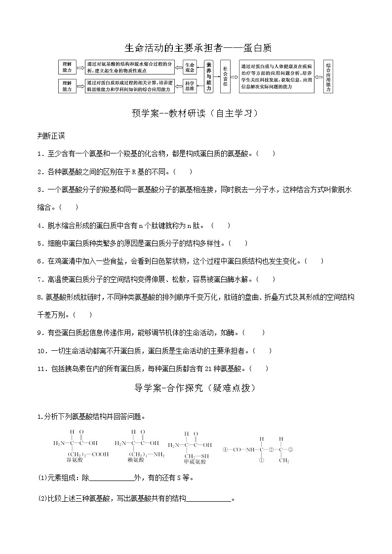 2022届高三一轮复习生物：第4讲生命活动的主要承担者——蛋白质预学案第1页