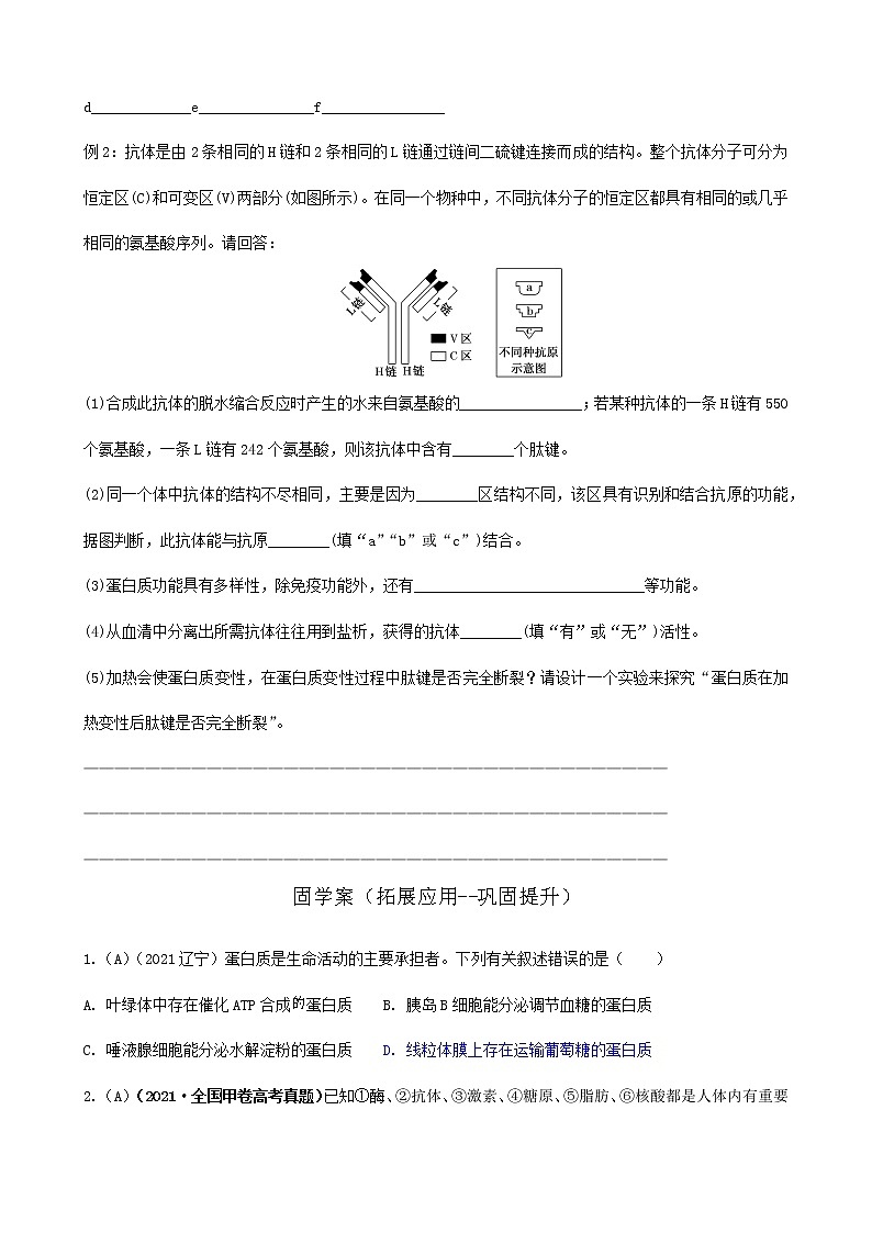 2022届高三一轮复习生物：第4讲生命活动的主要承担者——蛋白质预学案第3页