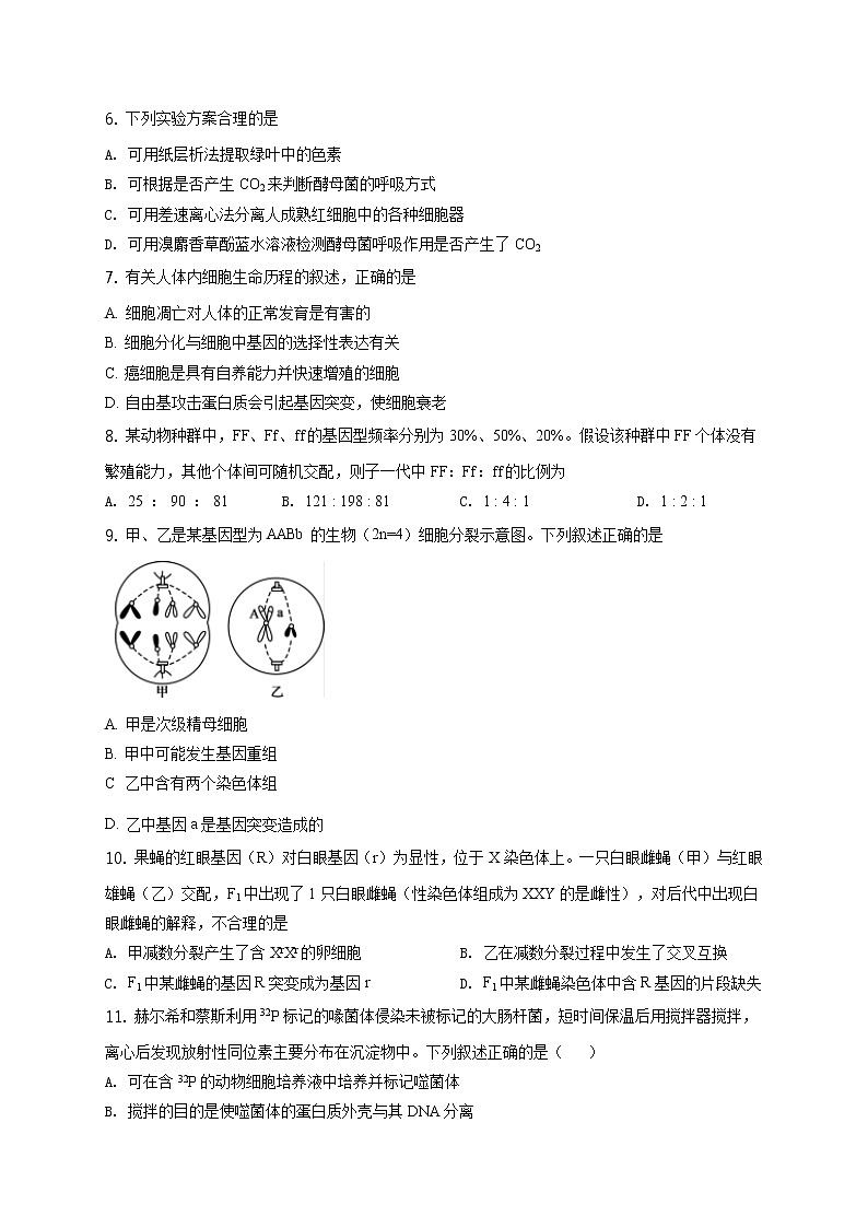 2020赤峰二中,呼二中高三上学期10月联考生物试题Word含解析02