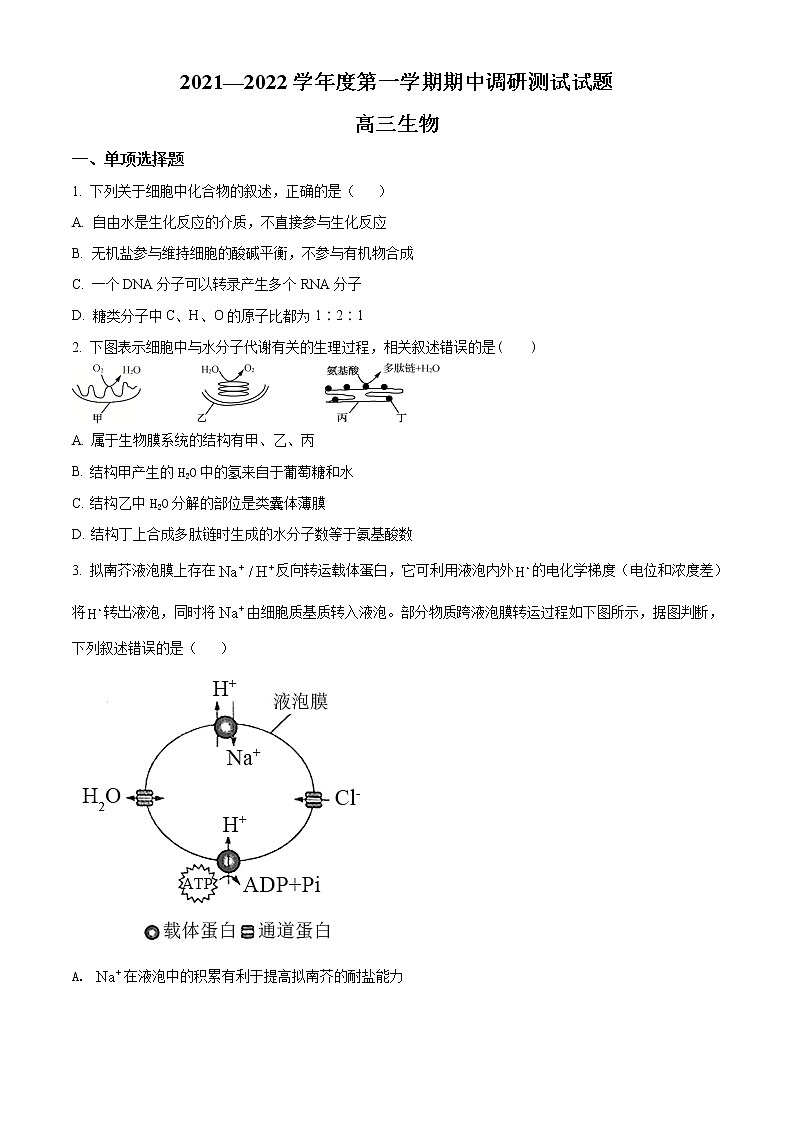 江苏省淮安市淮安区2021-2022学年高三上学期期中调研测试生物试卷无答案第1页