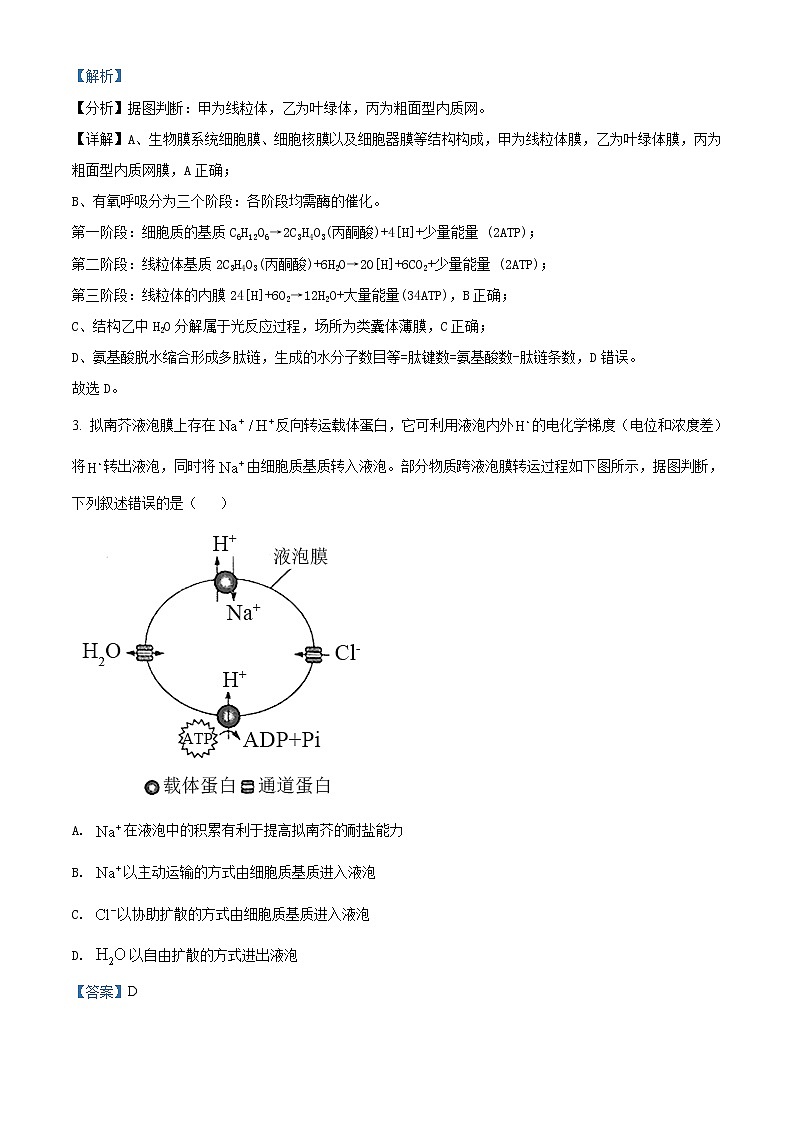 江苏省淮安市淮安区2021-2022学年高三上学期期中调研测试生物试卷含答案第2页
