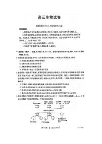 2023湖南省高三上学期10月联考生物试题PDF版含答案