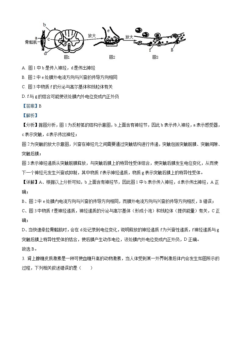 2021无锡江阴二中、要塞中学等四校高二上学期期中生物试题含答案第2页