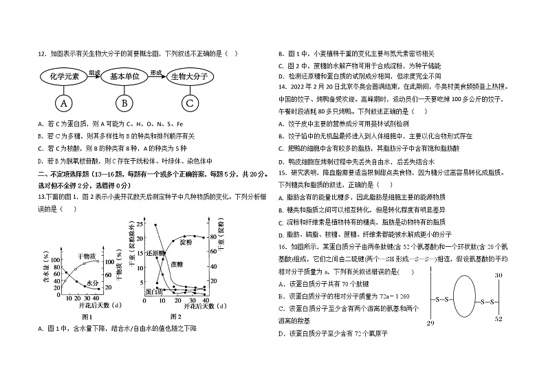 2023青岛第五十八中学高一上学期10月月考生物试题含答案03