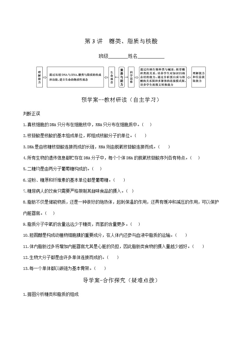 高三一轮复习生物 糖类、脂质和核酸 复习学案01