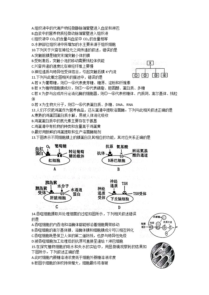 河南省洛平许济联考2023届高三上学期第一次质量检测+生物试题+word版含答案02