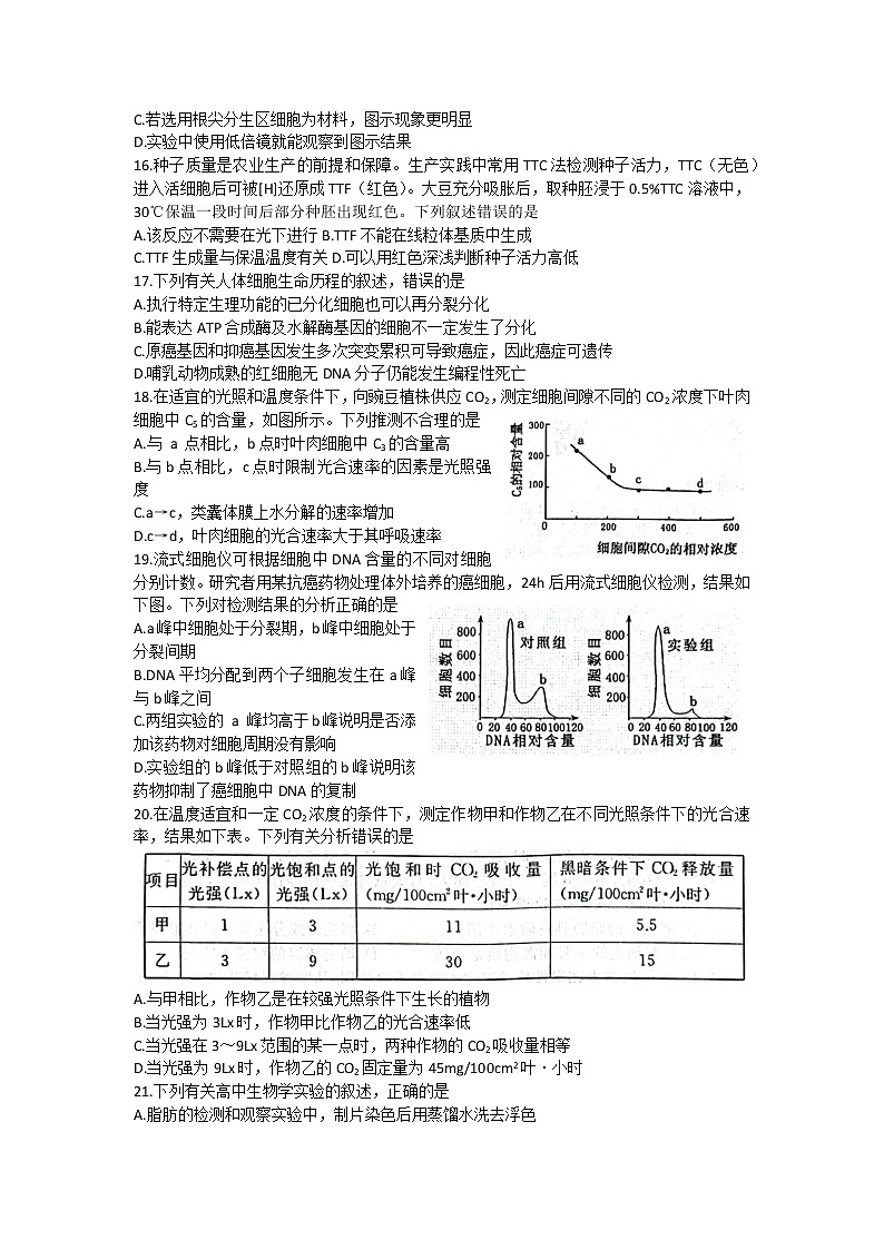 河南省洛平许济联考2023届高三上学期第一次质量检测+生物试题+word版含答案03