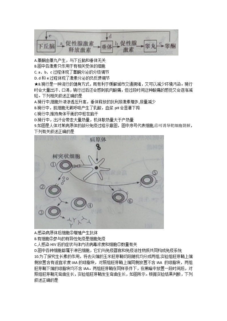 2023湖南省长沙市长郡中学高二上学期期中考试生物试题无答案第3页