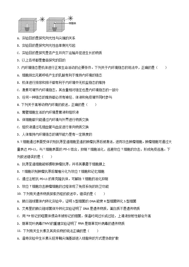 2022新疆喀什二中高二上学期期中考试生物试题含解析02