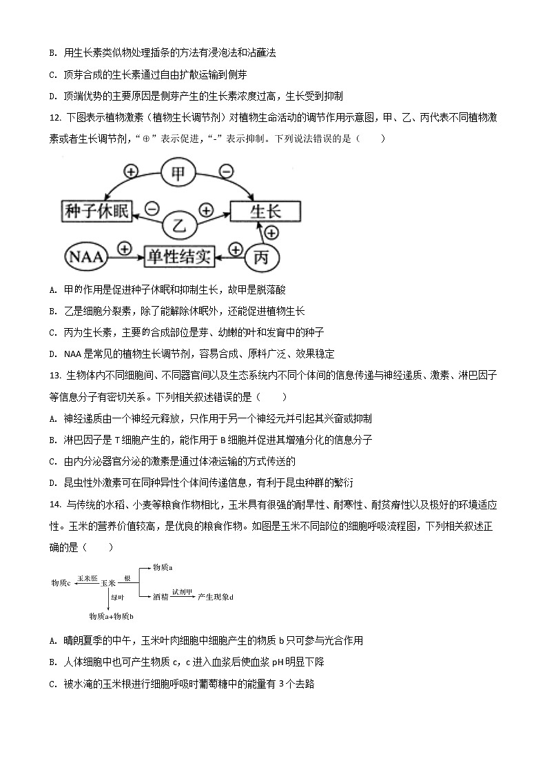 2022新疆喀什二中高二上学期期中考试生物试题含解析03