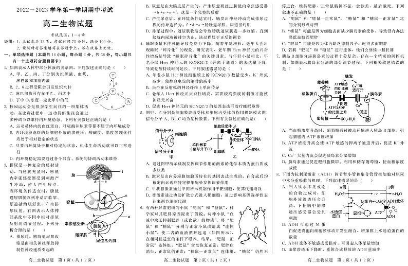 2023邢台六校联考高二上学期期中考试生物试题PDF版含答案01