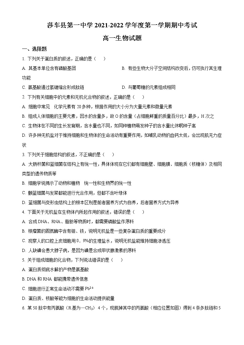 2022喀什地区莎车县一中高一上学期期中考试生物试题含解析01