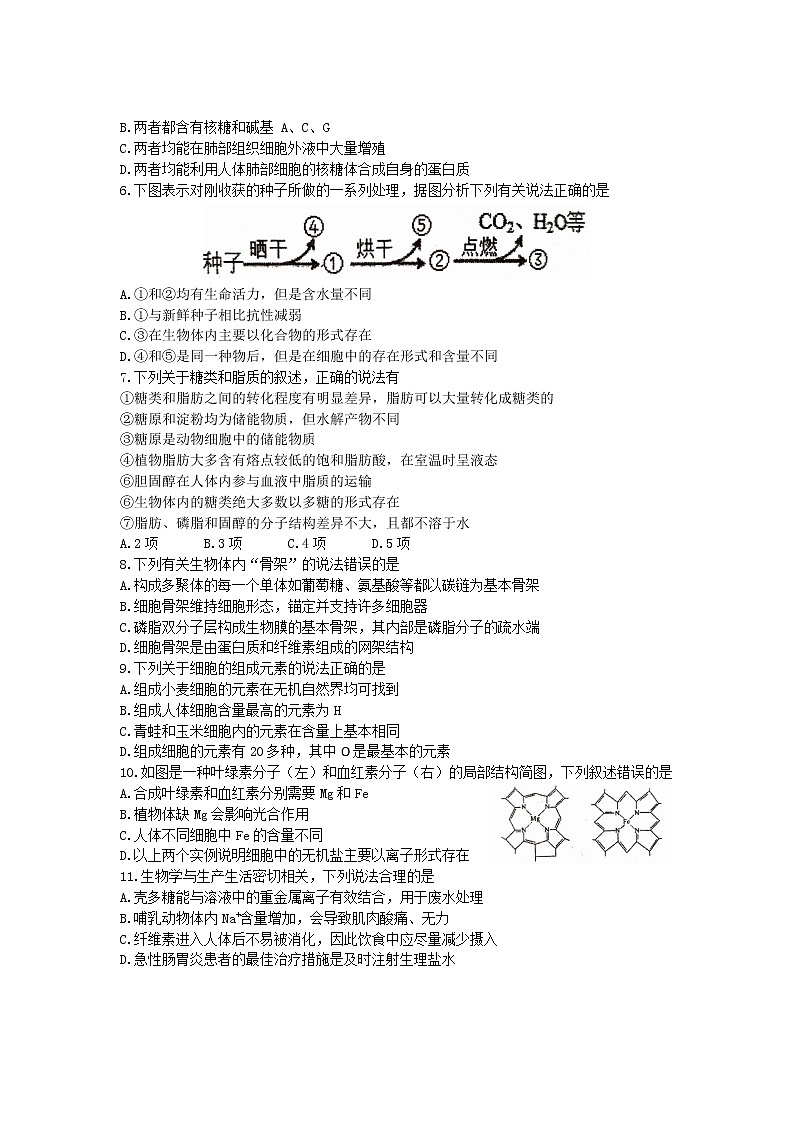 2023长春东北师大附中高一上学期期中考试生物含答案02