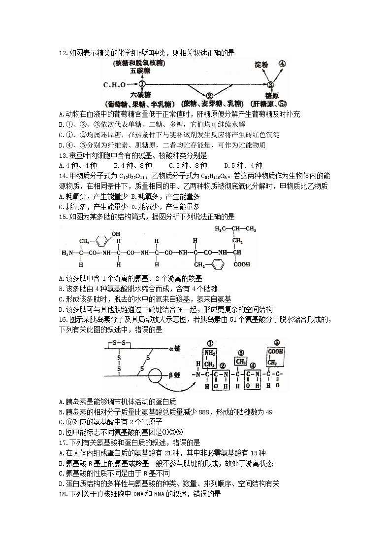 2023长春东北师大附中高一上学期期中考试生物含答案03