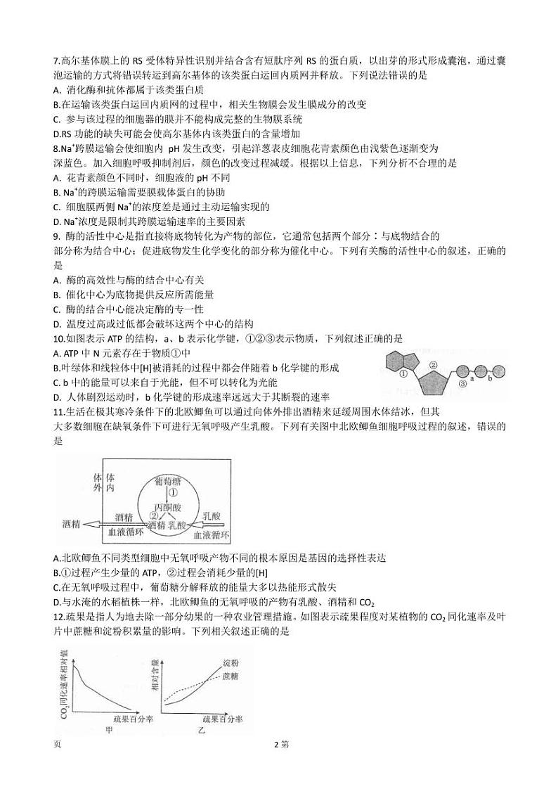 2022-2023学年河南省南阳市高三上学期11月期中考试 生物试题（PDF版）02