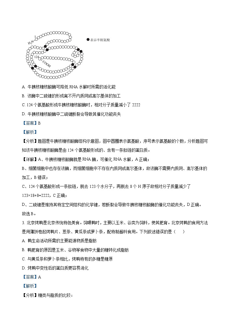 2022-2023学年甘肃省张掖市重点校高三上学期第九次检测 生物（PDF版）02