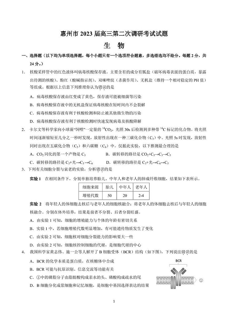 2022-2023学年广东省惠州市高三上学期第二次调研考试 生物（PDF版）01