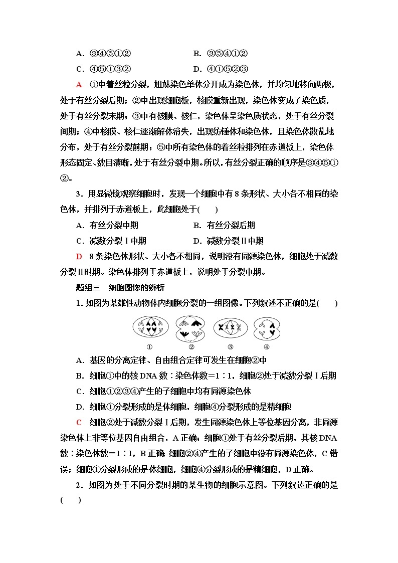 普通高中生物学业水平合格性考试考点过关练9遗传的细胞学基础含答案03