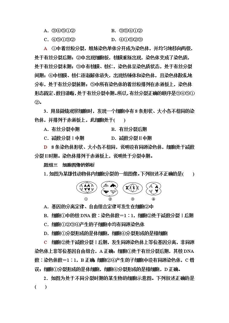 普通高中生物学业水平合格性考试考点过关练9遗传的细胞学基础含答案第3页