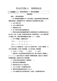 普通高中生物学业水平合格性考试考点过关练11基因的表达含答案