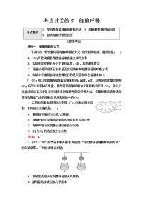 普通高中生物学业水平合格性考试考点过关练5细胞呼吸含答案