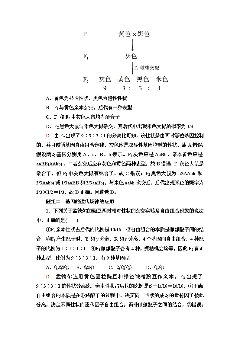 普通高中生物学业水平合格性考试考点过关练13基因的自由组合定律含答案第2页
