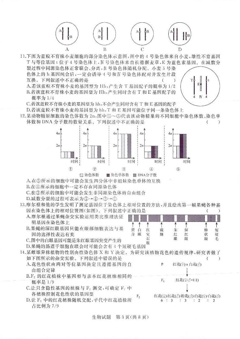 河南省2022-2023学年高三上学期青桐鸣大联考生物 试卷03