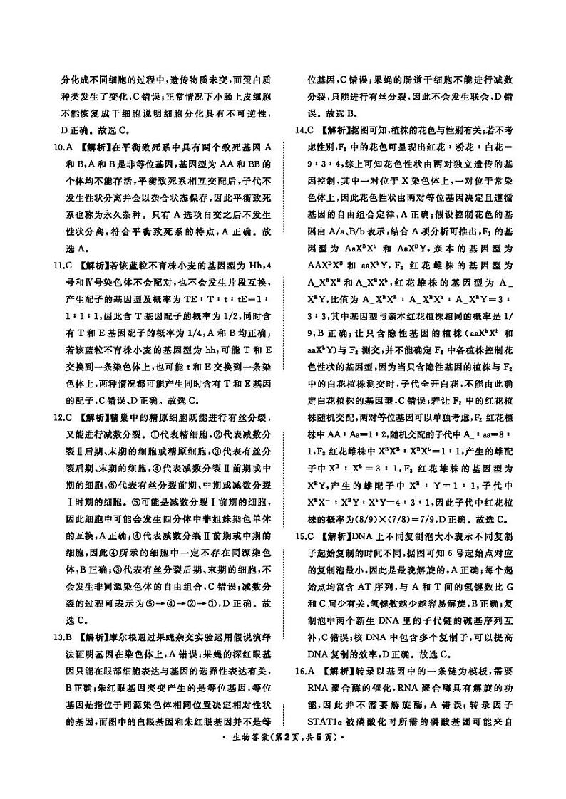 河南省2022-2023学年高三上学期青桐鸣大联考生物 试卷02