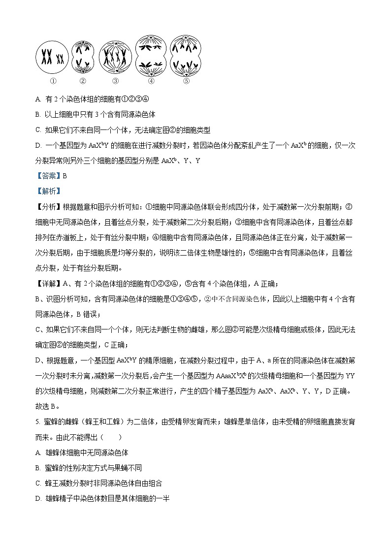 四川省内江市第六中学2022-2023学年高三上学期第二次月考生物试题含解析第3页