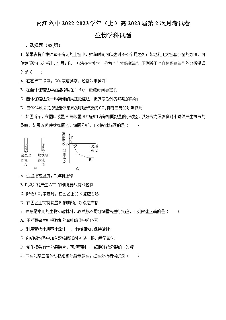 四川省内江市第六中学2022-2023学年高三上学期第二次月考生物试题无答案第1页