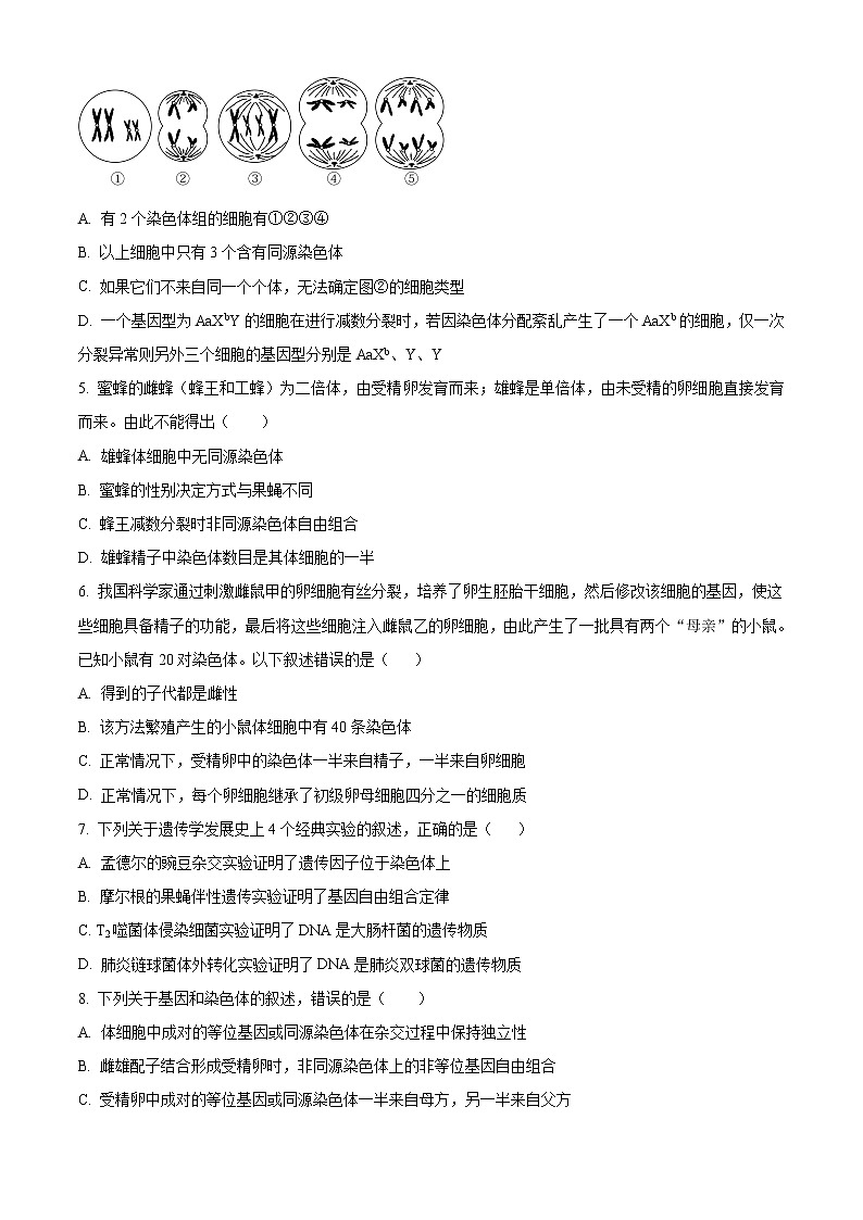 四川省内江市第六中学2022-2023学年高三上学期第二次月考生物试题无答案第2页