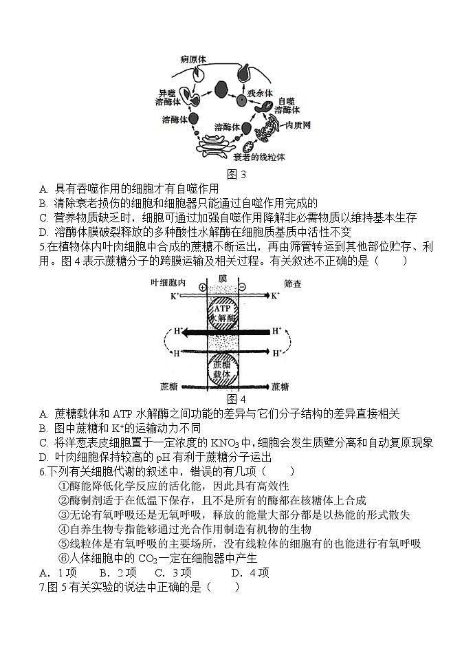 2022西安中学高三上学期期中考试生物含答案02