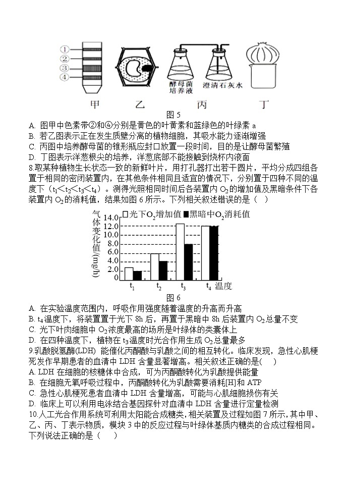 2022西安中学高三上学期期中考试生物含答案03