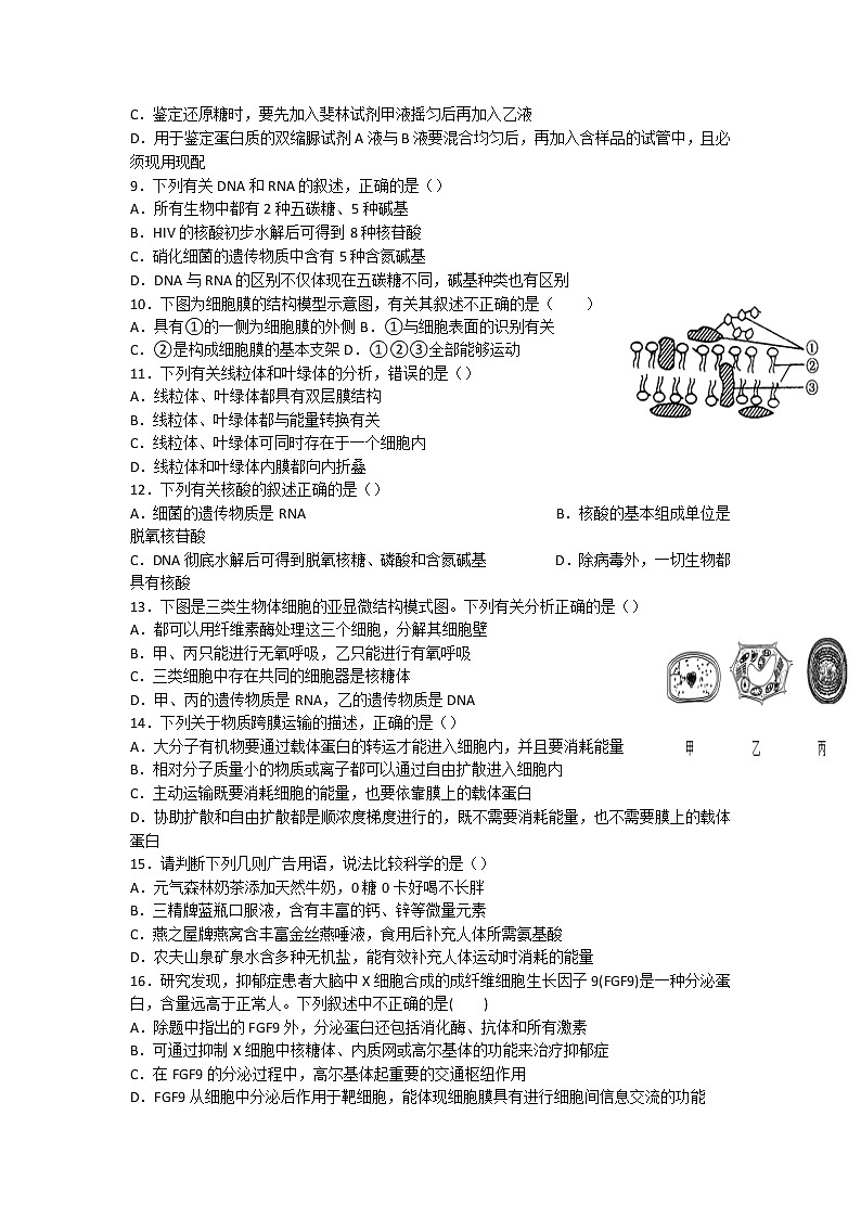 2022石嘴山平罗中学高三上学期期中考试生物无答案第2页