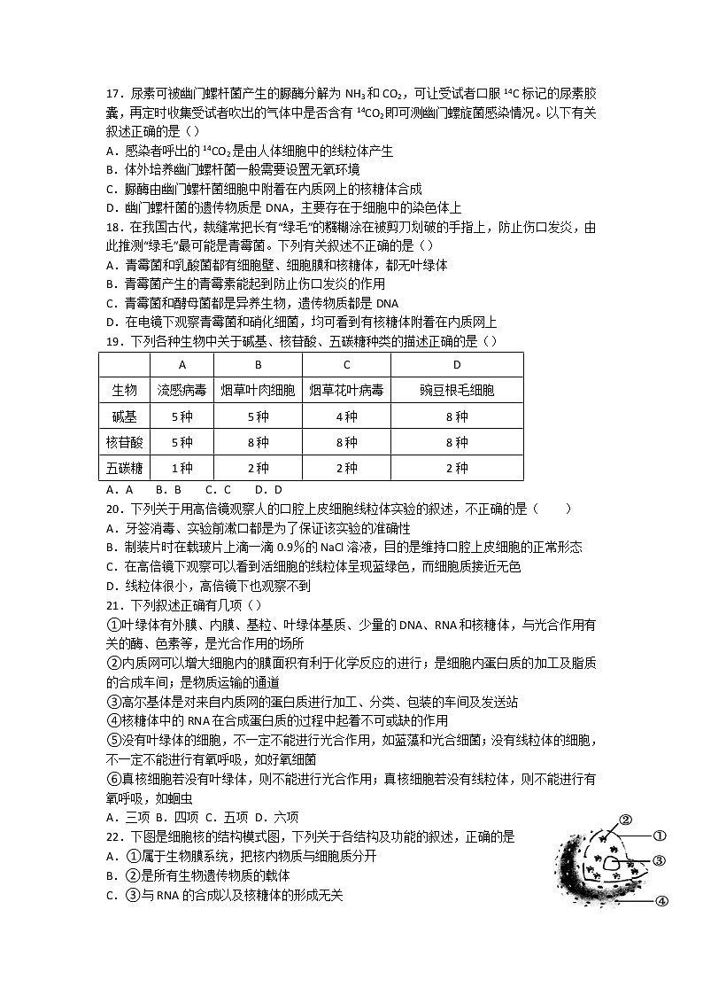 2022石嘴山平罗中学高三上学期期中考试生物无答案第3页