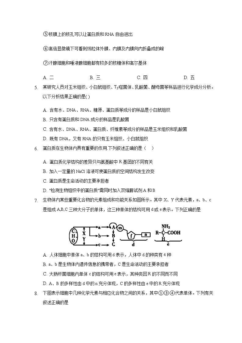 2021石嘴山三中高三补习班上学期期中考试生物含答案第2页