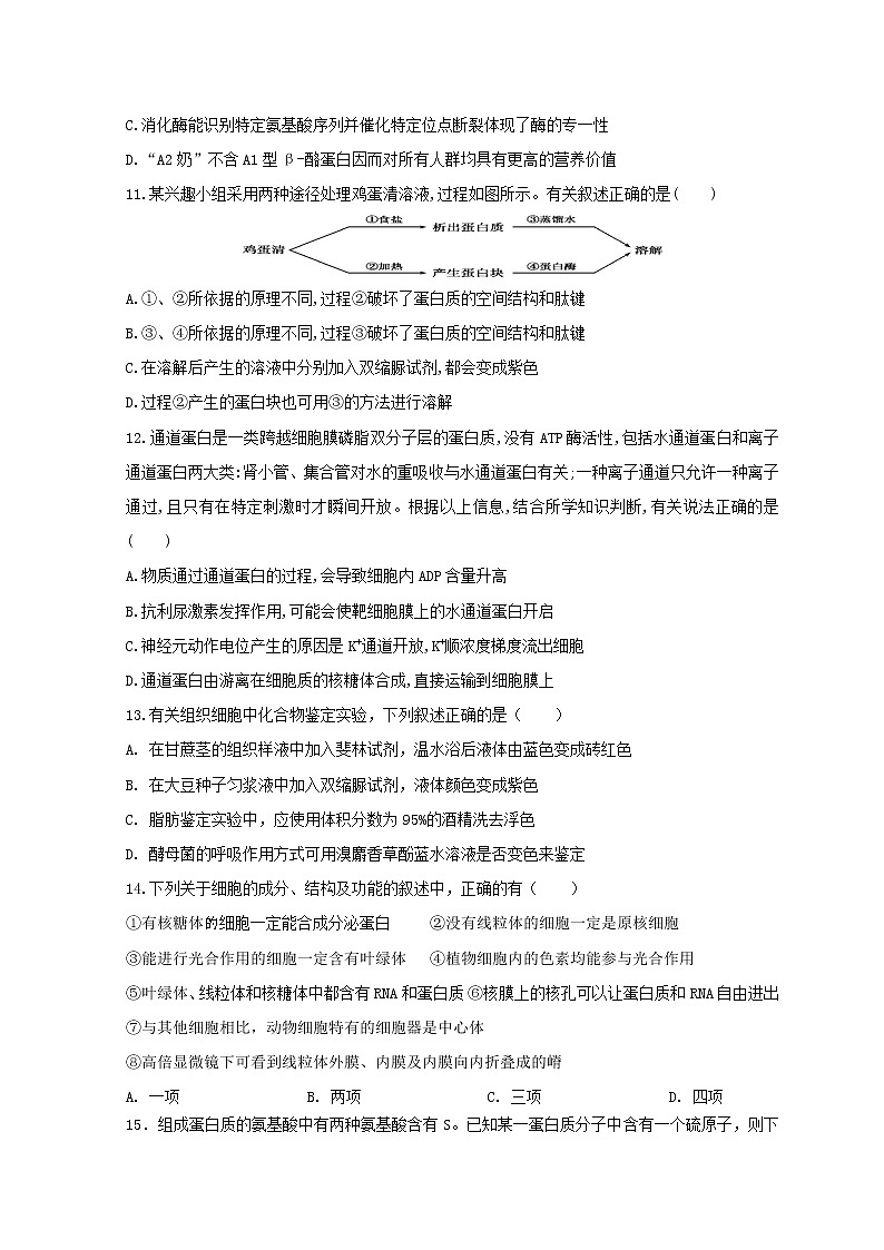 2021石嘴山三中高三上学期期中考试生物无答案03