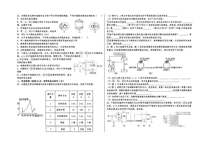 2022青铜峡高级中学高三上学期期中考试生物含答案第3页