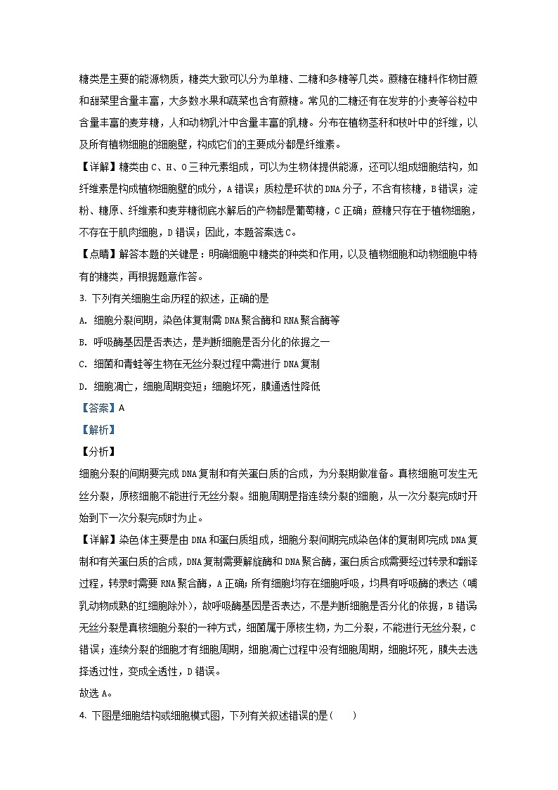 2021【KS5U解析】乌兰察布集宁一中（西校区）高三上学期期中考试生物试题含解析第2页